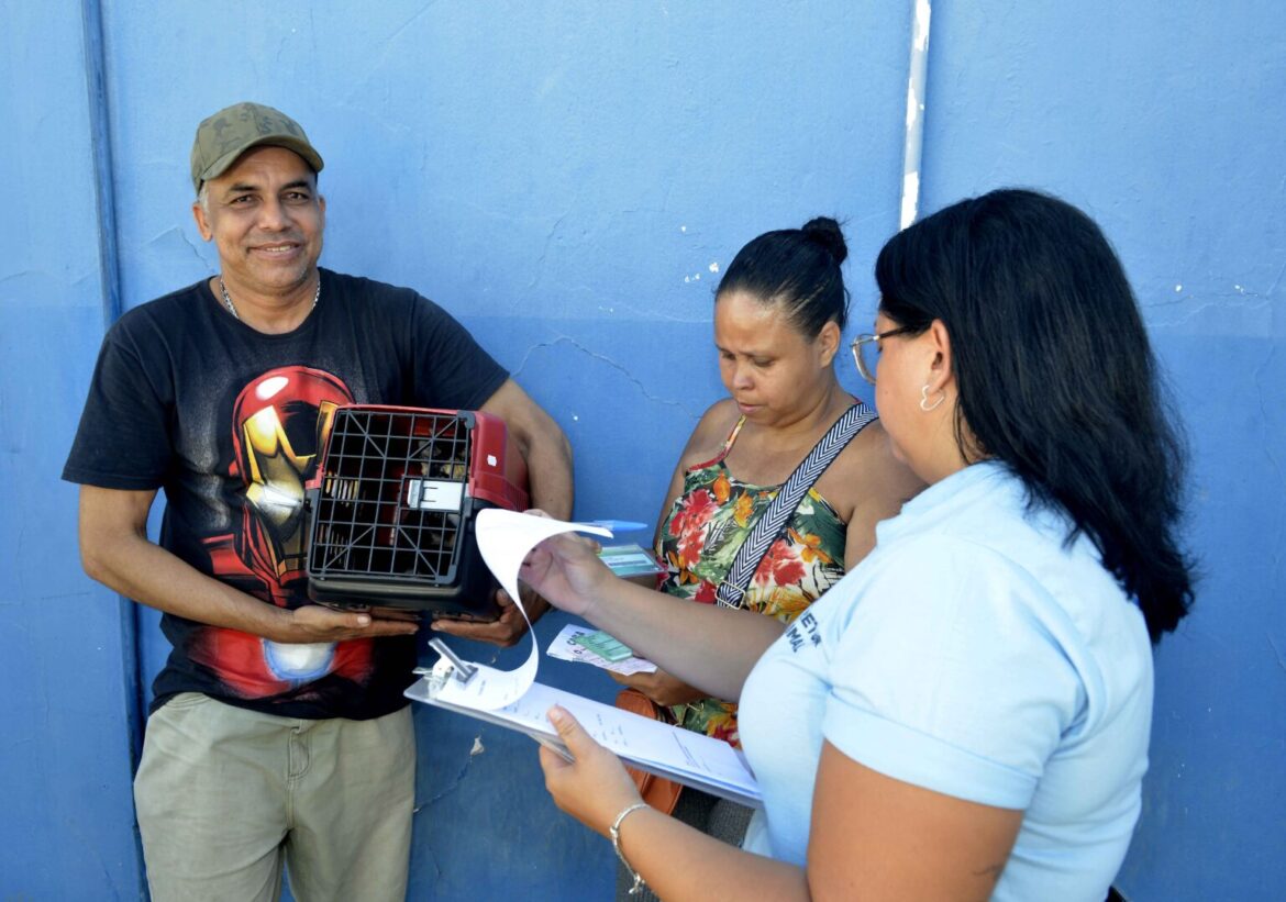 Prefeitura oferece castração e vacinação gratuita para animais em Itapuã