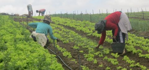 Mulheres são maioria na tomada de microcrédito rural na Bahia