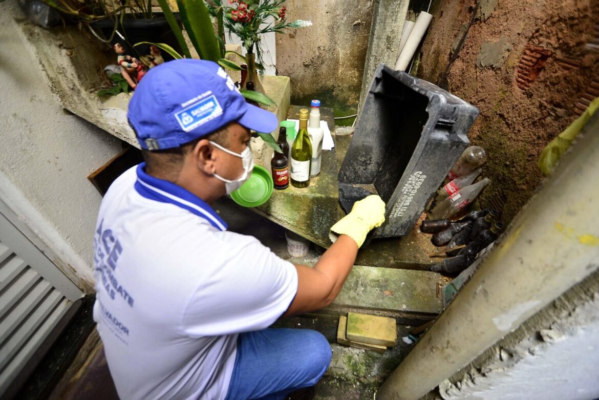 Saúde intensifica ações de combate às arboviroses em Salvador com proximidade do período chuvoso