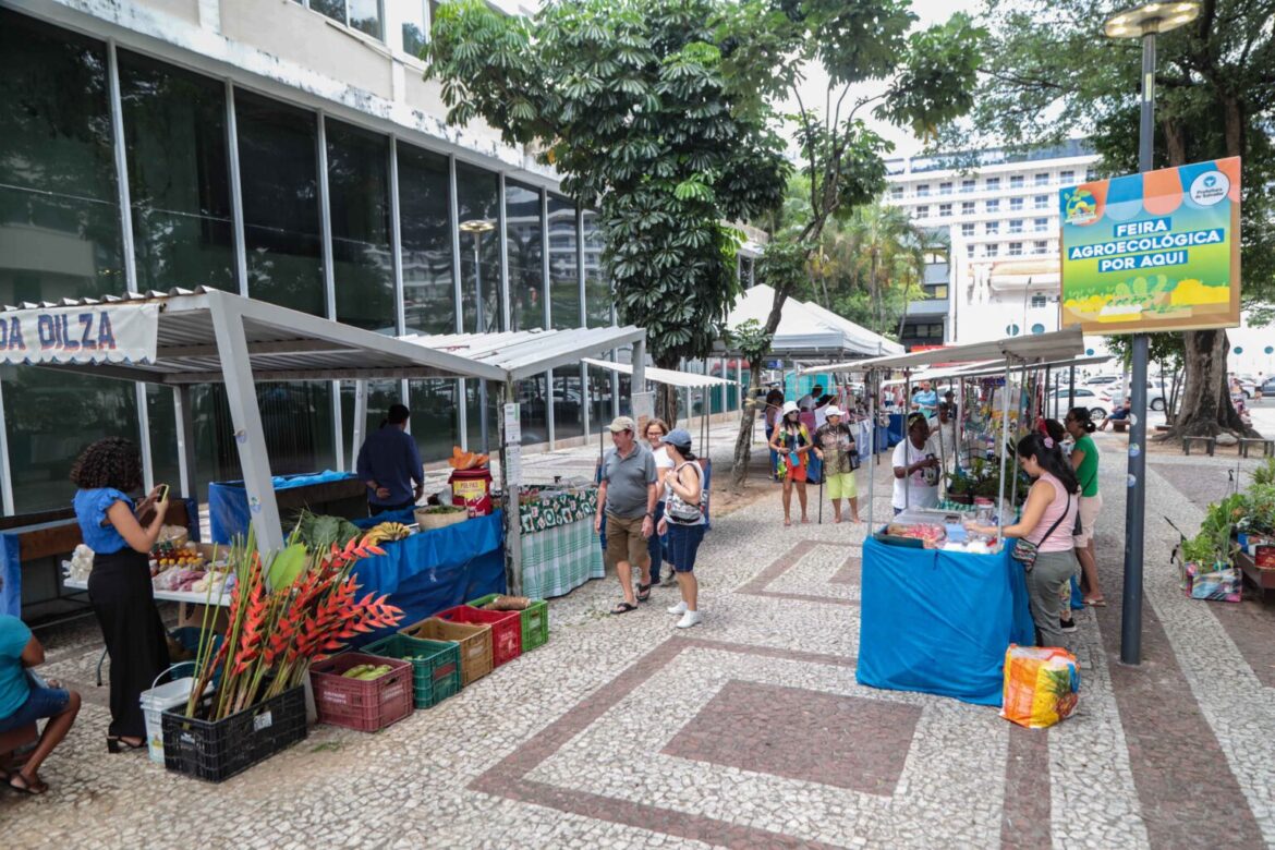 Feira Agroecológica Urbana de Salvador se populariza no Comércio e pode ganhar roteiro fixo em 2025