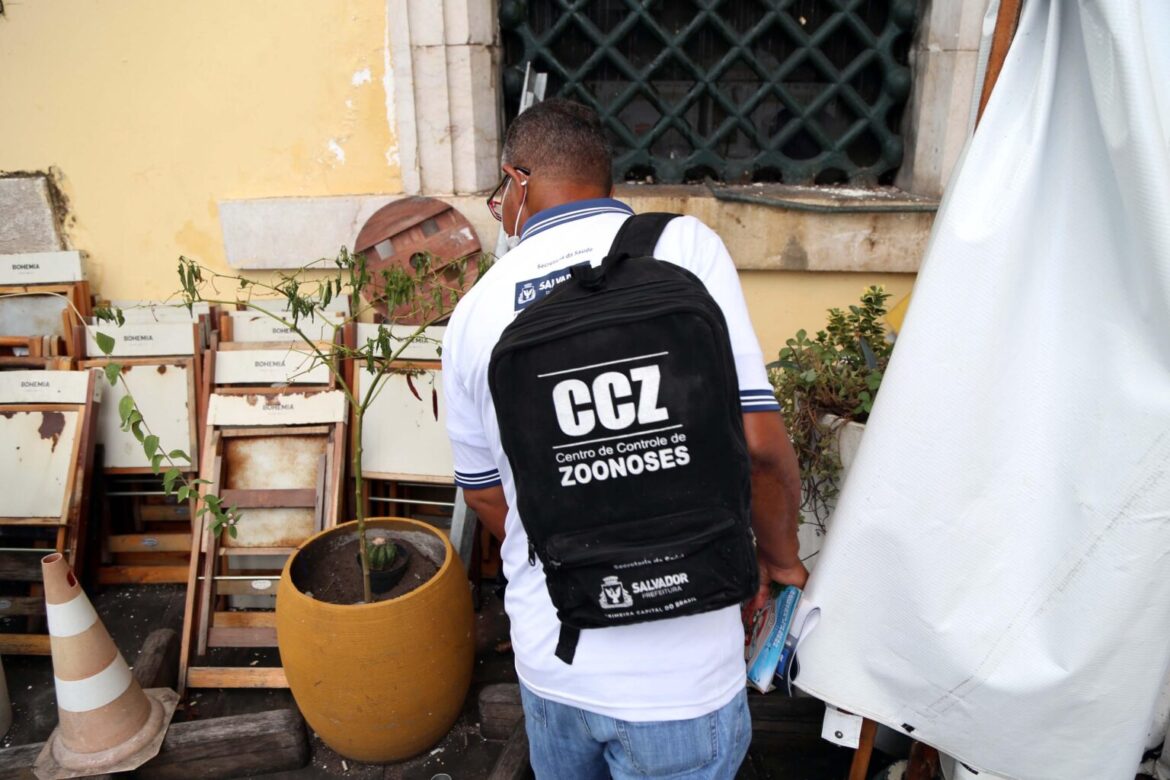 Comércio e Terminal Marítimo recebem ação do CCZ no Plano Verão Sem Mosquito