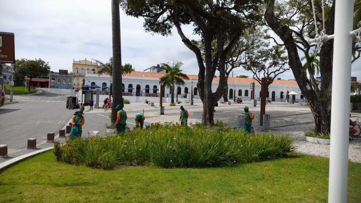 Prefeitura reforça manutenção periódica do paisagismo e arborização na cidade